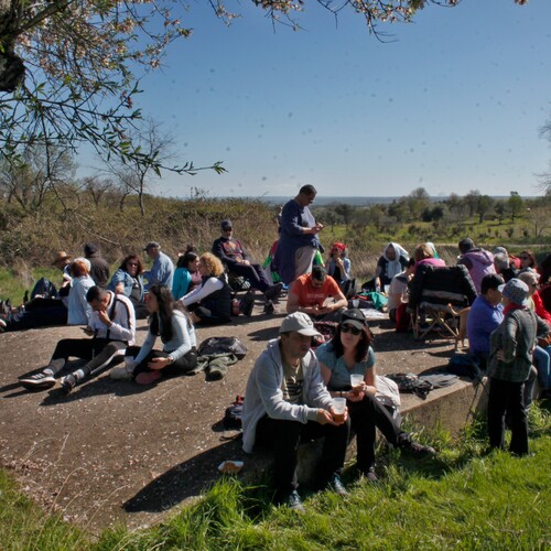 Almendro en flor 2026 (7)